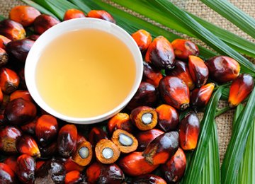 Palm Oil Imports Reach $135m in 5 Months, Up 46%