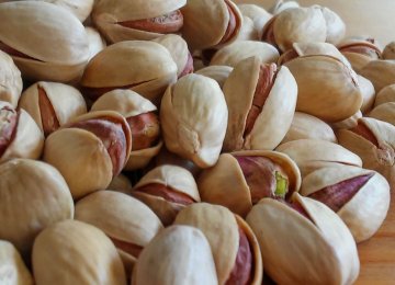 Pistachio Exports Earn $173m in 4 Months