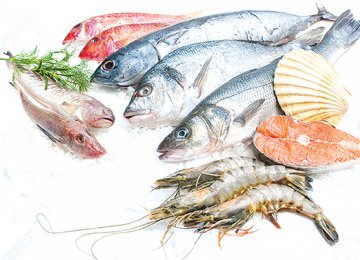 Over 100K Tons of Seafood Exported Last Year