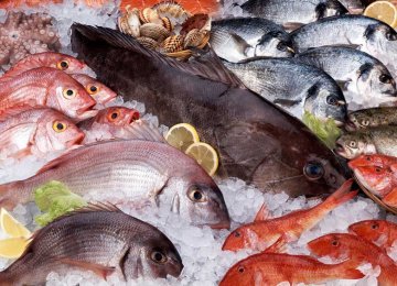 Seafood Exports to Reach $400m 