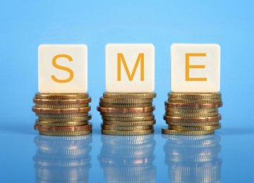 30% of VAT Revenues  for SMEs