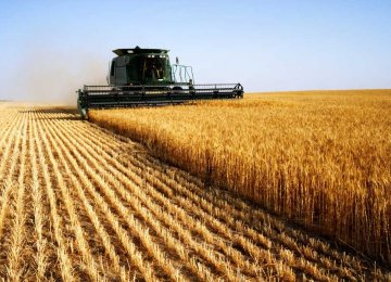 Iran became self-sufficient in wheat production last year.