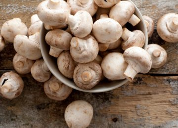 Mushroom Production Expected to Reach 180k Tons by March 2020