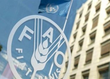 FAO Takes Steps to Curb Red Palm Weevil in Iran