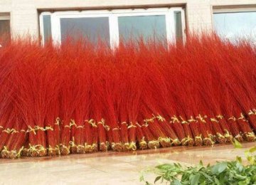 Mahallat Red Willow Exports Earn $2.5 Million
