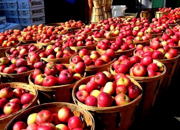 India Restricts Apple Imports; Iran May Be Hit: Newspaper
