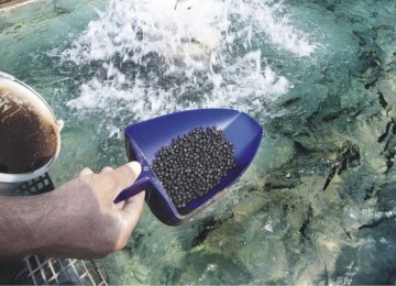 Aquatic Feed Exports Reach 29,000 Tons