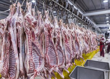 Red Meat Output Up 11%