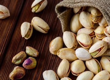 Pistachio Exports Earn Over $360 Million During 11 Months