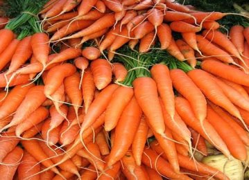 Threefold Surge in Carrot Consumption Due to Covid-19