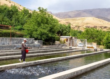 Floods Cause $24m in Losses to Fish Farms