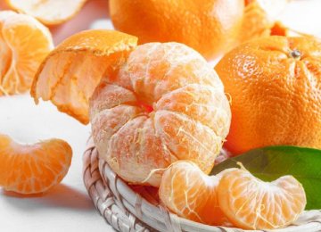 Miandoroud Tangerine Exports Surpass 2.5K Tons 