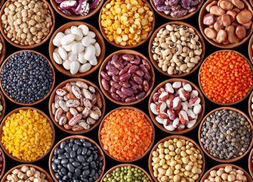 Production of Pulses Expected to Increase by 21% 