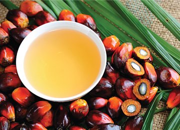 Rise in Palm  Oil Imports 