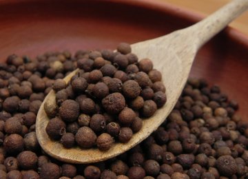 Iran&#039;s Allspice Exports Earn $6m in 5 Months