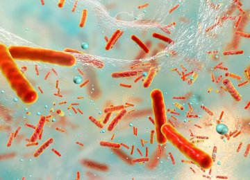 Micromachines Destroy Bacterial Biofilms in Obscure Places