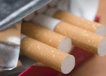 Cigarette Production Up 50% Last Year