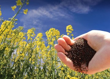 The government says it is planning to meet 70% of the domestic demand for oilseeds from local production.