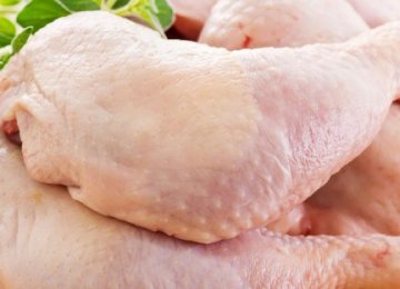 Plan to Increase Chicken Exports After Bird Flu Outbreak