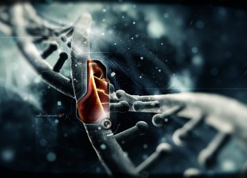 DNA Sequences Susceptible to Attack 