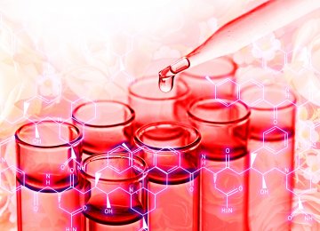 Progress in Biotech Drugs