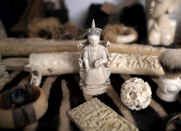 Britain to Ban Sale of All Ivory Items 