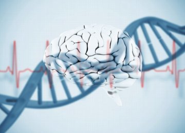 Large Study Finds 14 New Genetic Disorders in Children