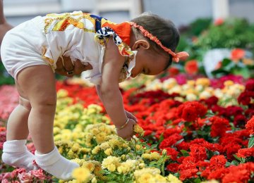 9 Nations at Mashhad Flower Show