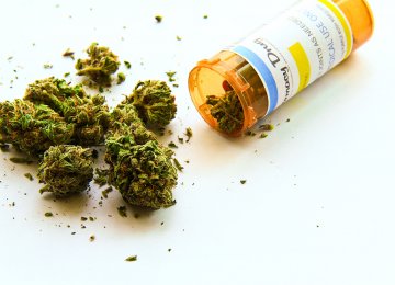 Germany Legalizes Medical Cannabis 