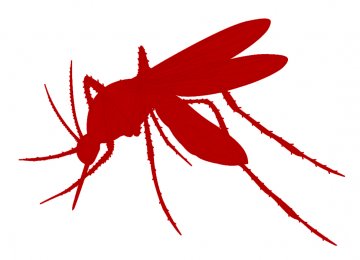 Malaria Cases Decline