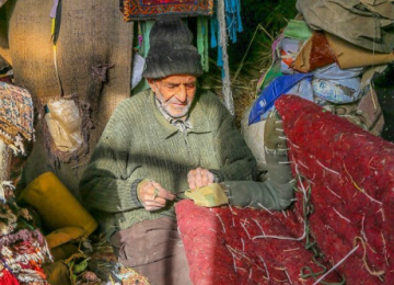 Nature and Society in Group Photo Exhibit  