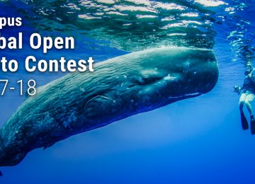 Japanese Photo Contest Calls for Submissions