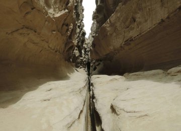 Qeshm Geopark