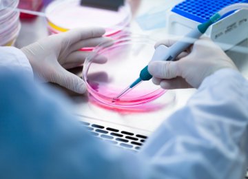Many questions must be answered before stem cell treatment becomes a success in the medical field.