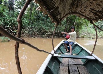 The scans showed that almost nine in 10 of the Tsimane (85%) had no risk of heart disease because they had no arterial plaques.