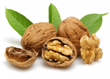 Daily Handful of Walnuts Can Suppress Hunger