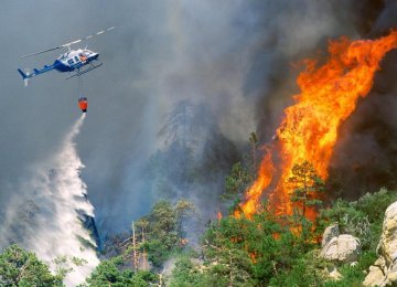 Huge Decline in Hamedan Wildfires