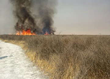 Flames Engulf Parishan Vegetation