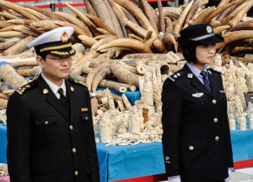 No More Ivory Trade in China