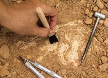 Ancient Bone Tools Found  in China 