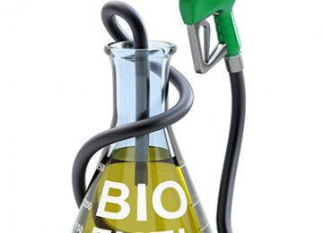 Biodiesel for Tehran Buses