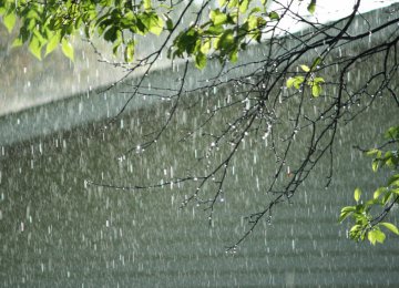 Rainfall in  6 Catchment Areas Declines