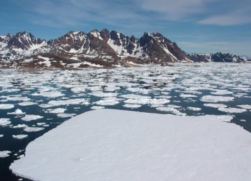 The Arctic is warming at about twice the global average rate. 