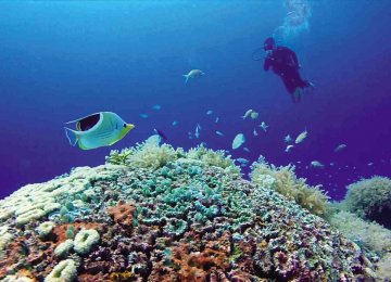 Corals are sensitive to temperature changes, particularly to a rise in temperature.