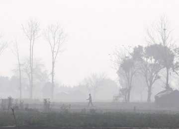 Crop stubble burning caused one-quarter of the air pollution that blanketed Delhi in November.
