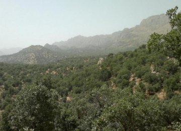 FAO Responsible for Zagros Forest Protection