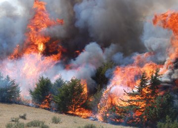 25 Hectares Burn in Gachsaran Wildfire