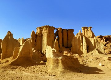 The geopark on Qeshm Island is a treasure trove of natural and ecological attractions. 