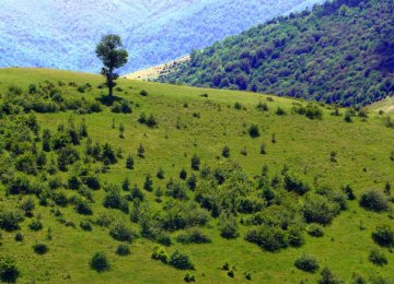 Thanks to high rainfall, Gilan is one of Iran's greenest provinces,