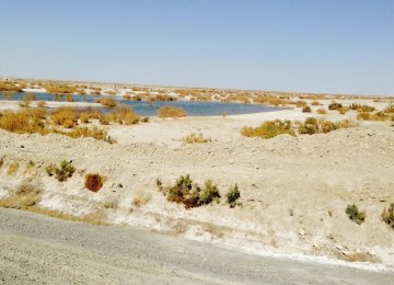 Afghanistan Destroying Hamoun Wetlands